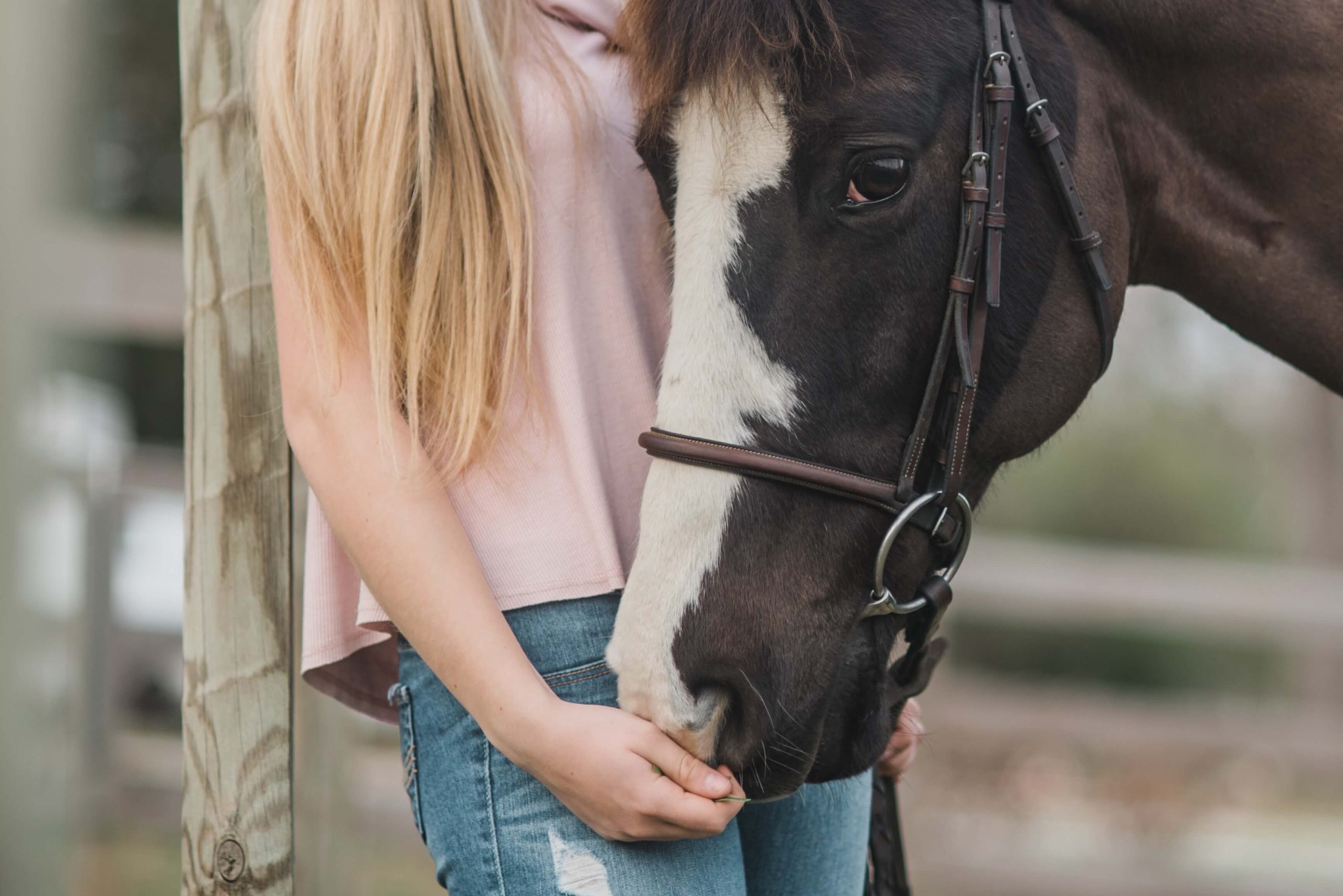 Young girl stroking pony head in bridle